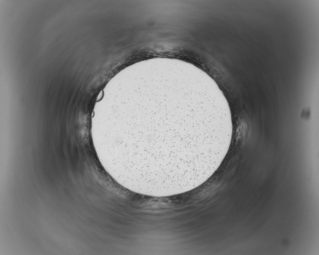 X0000112731156200910011149