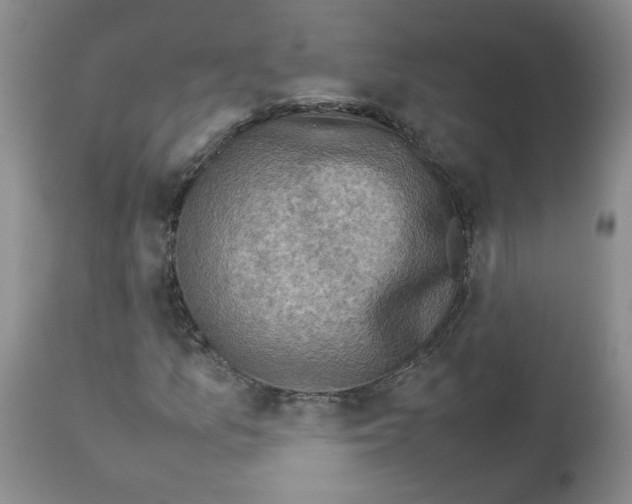 X0000112731157200910011149