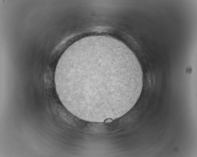 X0000112731158200910011149
