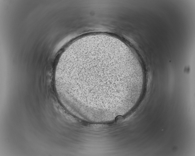 X0000112731163200910011149