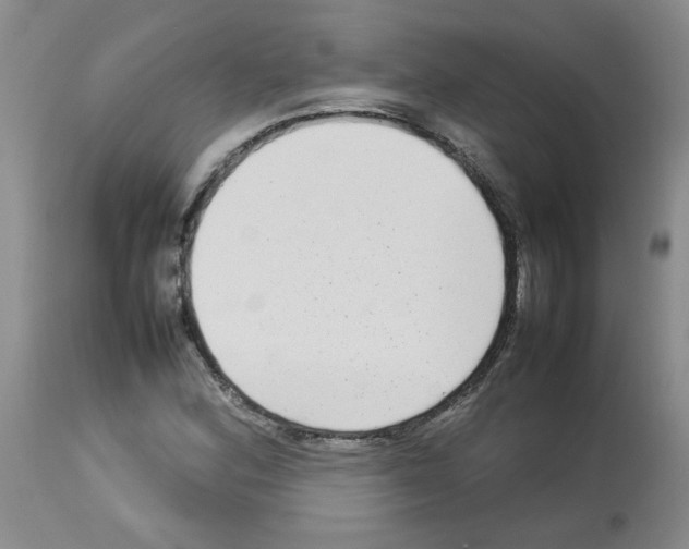 X0000112731164200910011149