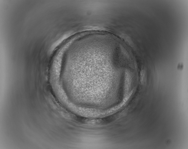 X0000112731165200910011149