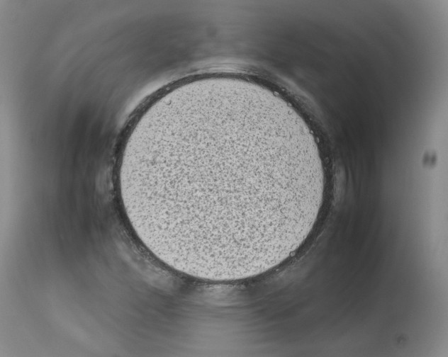 X0000112731166200910011149