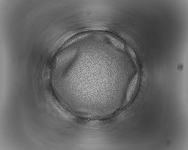 X0000112731169200910011149