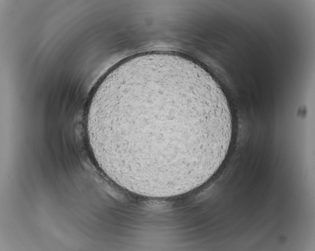 X0000112731170200910011149