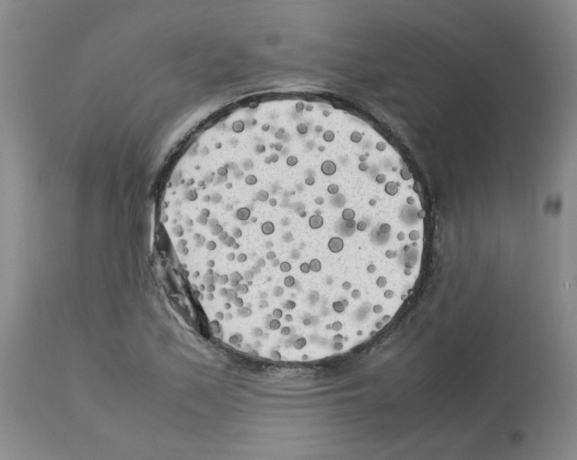 X0000112731171200910011149