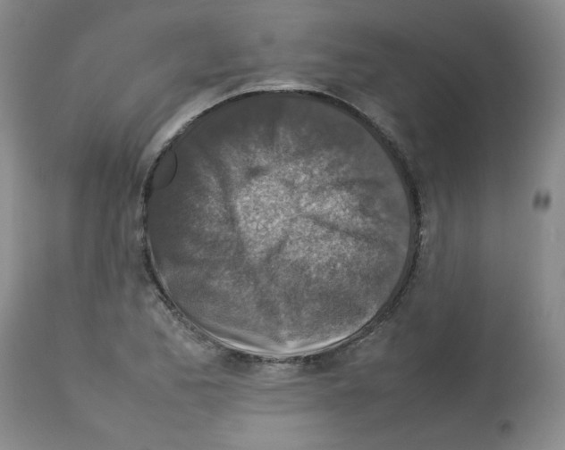 X0000112731173200910011149