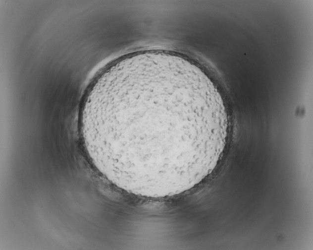 X0000112731174200910011149