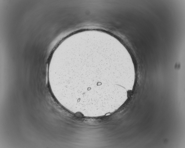 X0000112731175200910011149