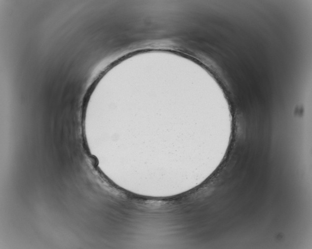 X0000112731176200910011149