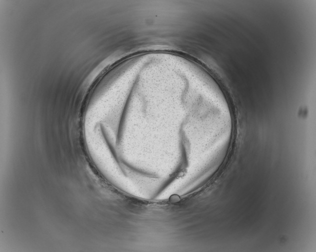 X0000112731181200910011149