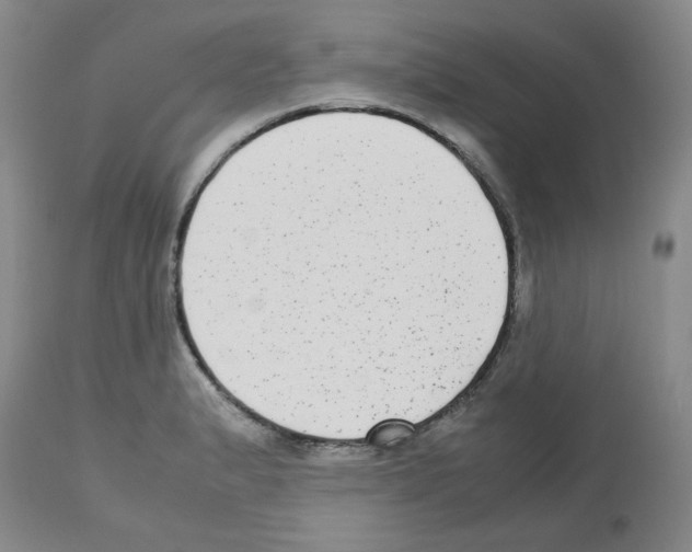 X0000112731183200910011149