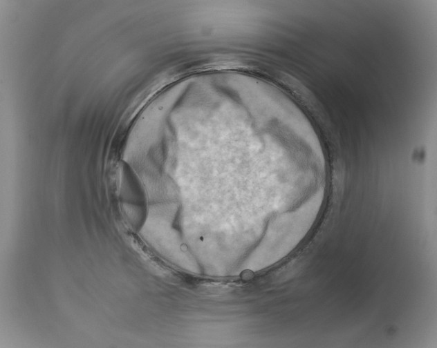 X0000112731185200910011149