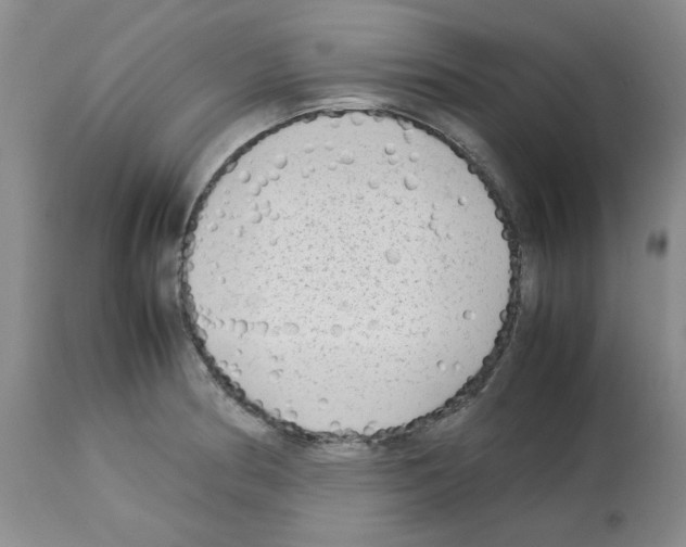 X0000112731186200910011149