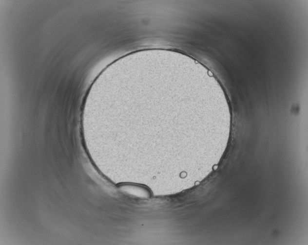 X0000112731187200910011149