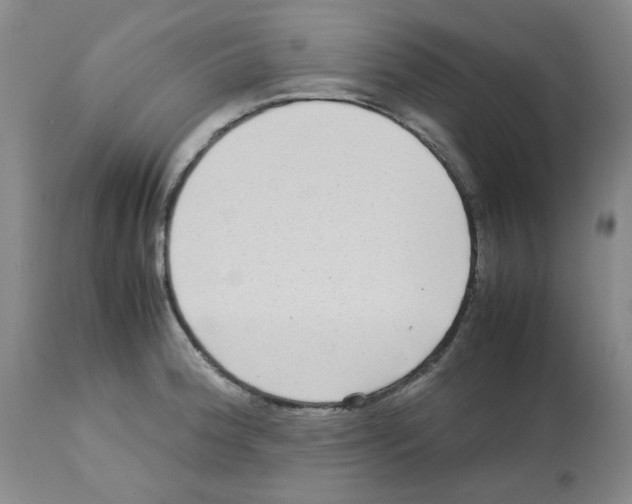 X0000112731188200910011149