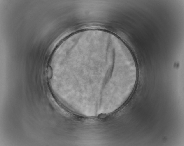 X0000112731189200910011149