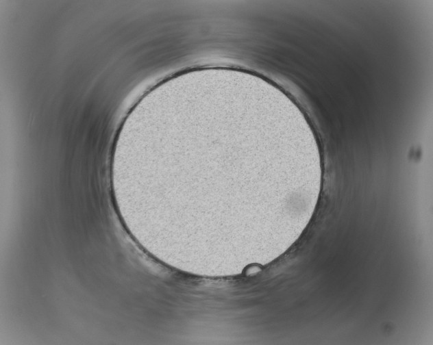 X0000112731191200910011149
