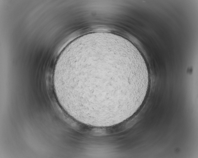 X0000112731194200910011149