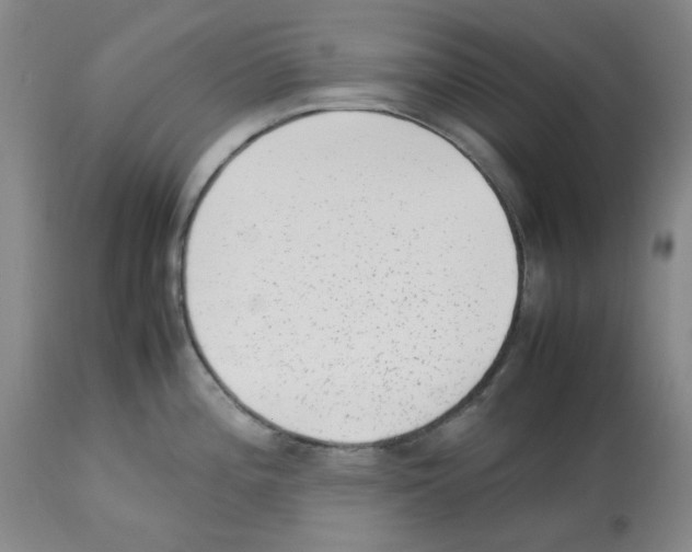 X0000112731196200910011149