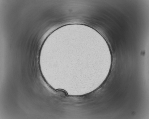 X0000112731197200910011149