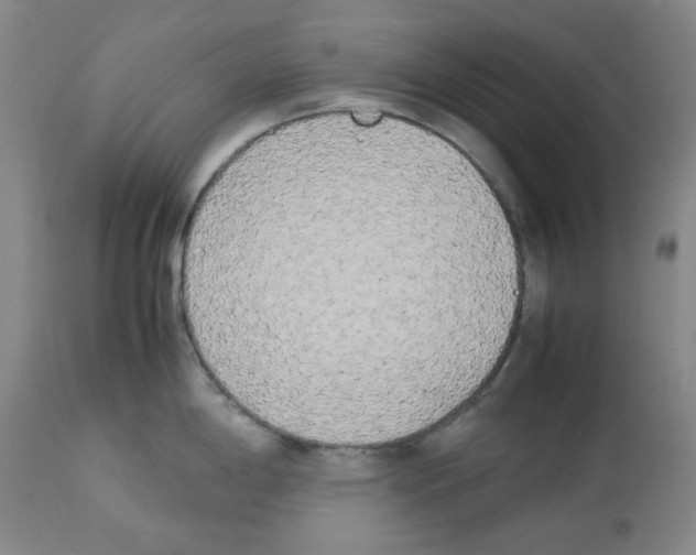 X0000112731198200910011149