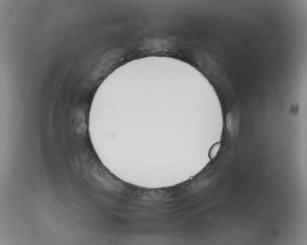 X0000112731203200910011148