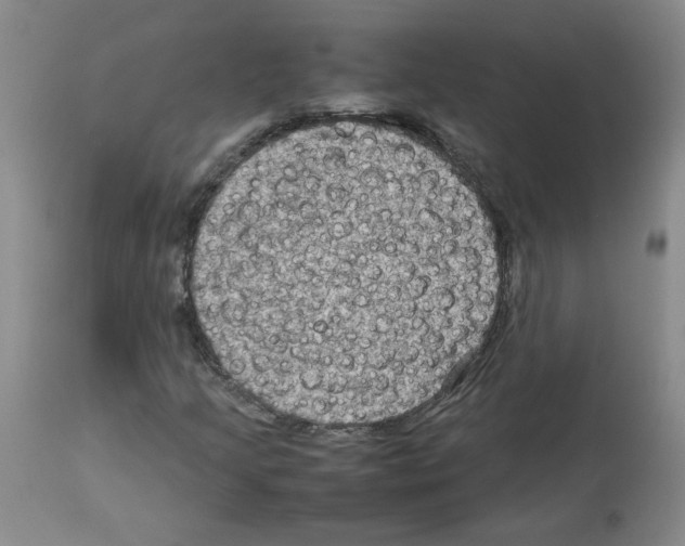 X0000112731205200910011148