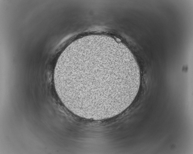 X0000112731206200910011148