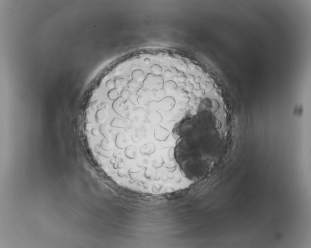 X0000112731208200910011148