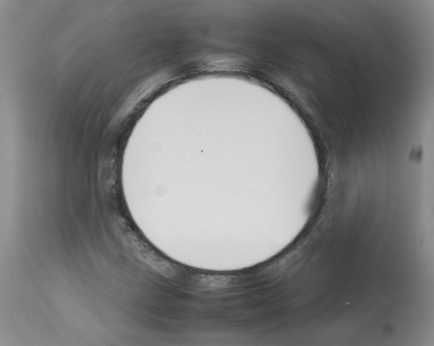 X0000112731211200910011148