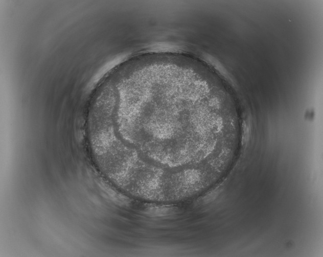 X0000112731213200910011148