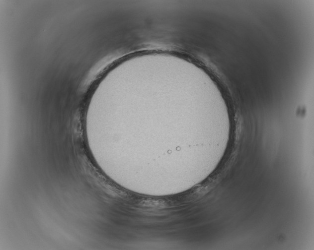 X0000112731215200910011148