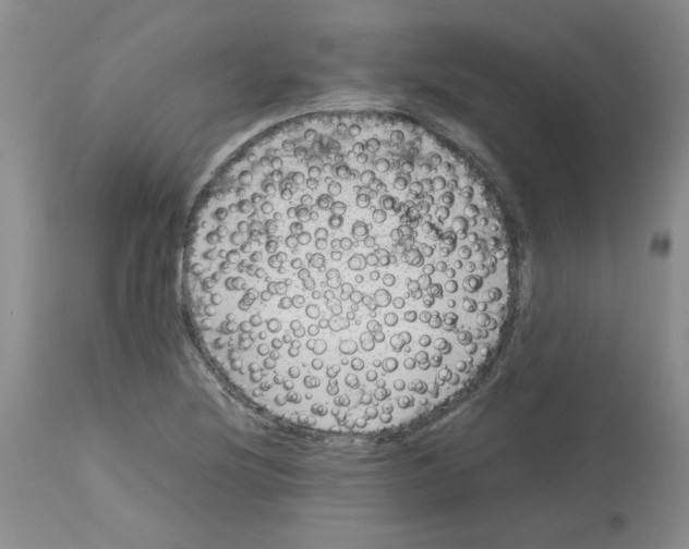 X0000112731220200910011148