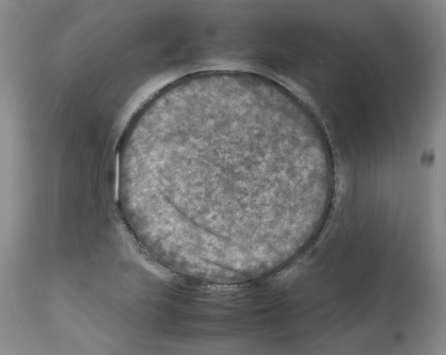 X0000112731223200910011148