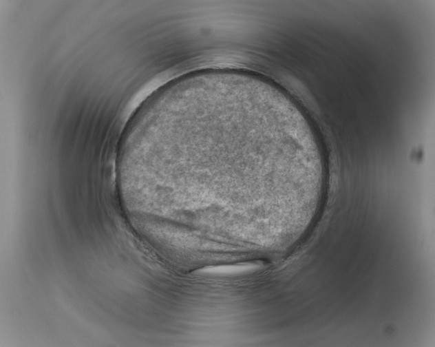 X0000112731226200910011149