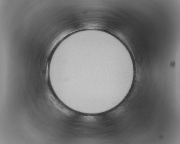 X0000112731227200910011149