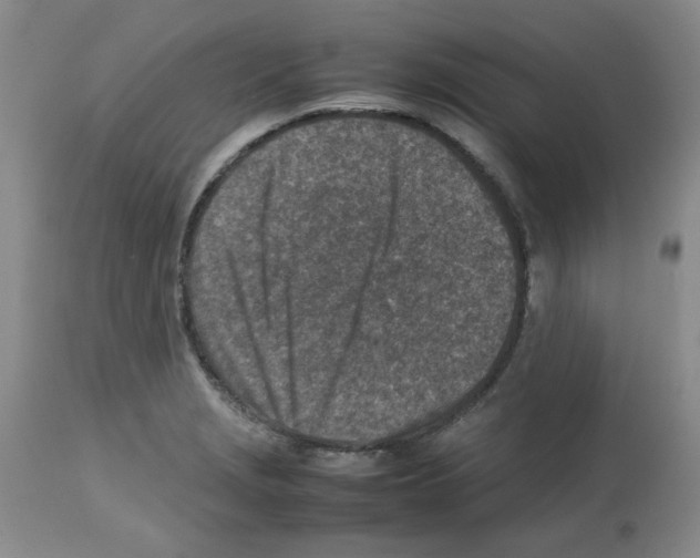 X0000112731229200910011149