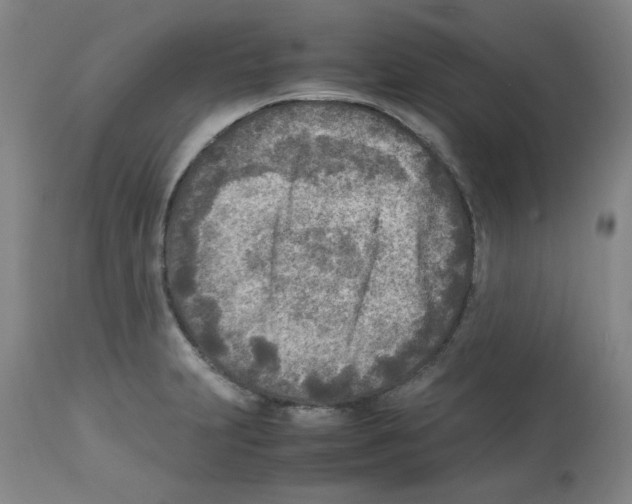 X0000112731231200910011149