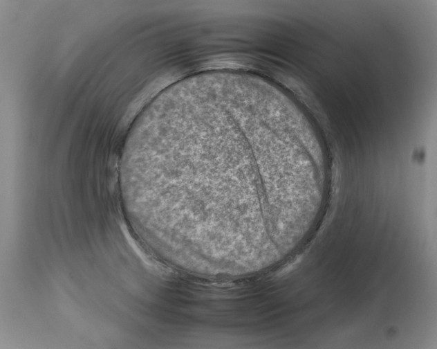 X0000112731233200910011149