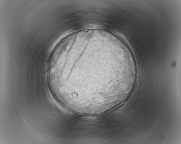 X0000112731235200910011149