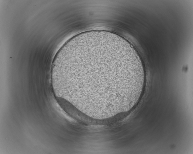 X0000112731236200910011149
