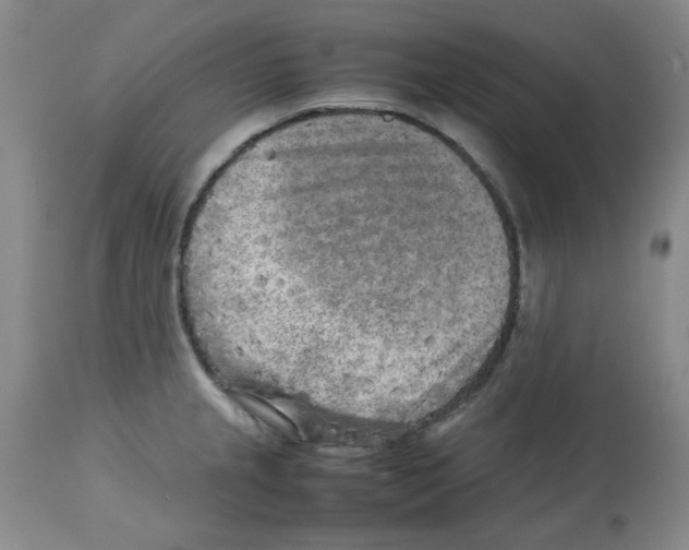 X0000112731237200910011149
