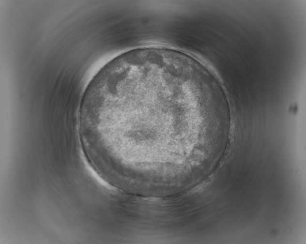 X0000112731239200910011149