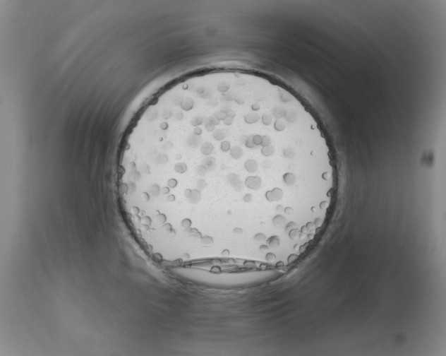 X0000112731240200910011149