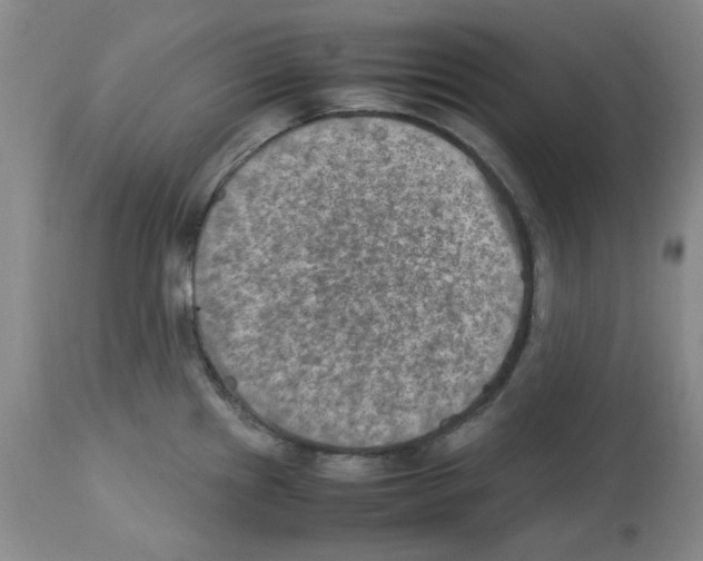 X0000112731241200910011149