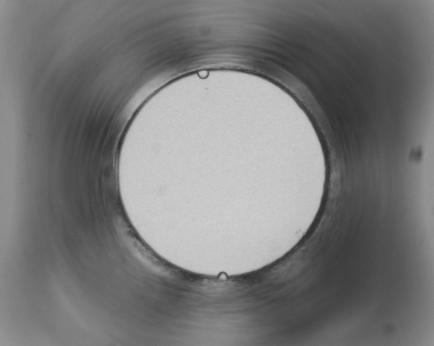 X0000112731242200910011149