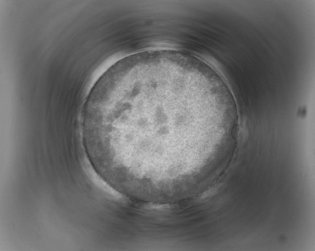 X0000112731243200910011149