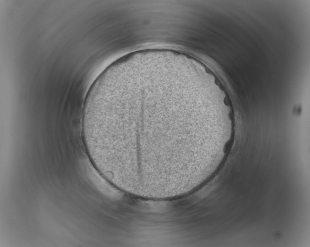 X0000112731244200910011149