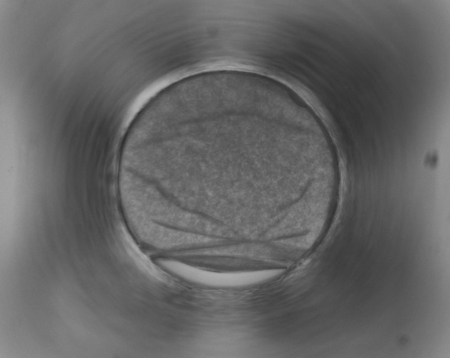 X0000112731246200910011149